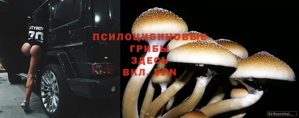 спиды Баксан