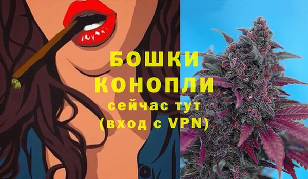 прущая мука Тайга