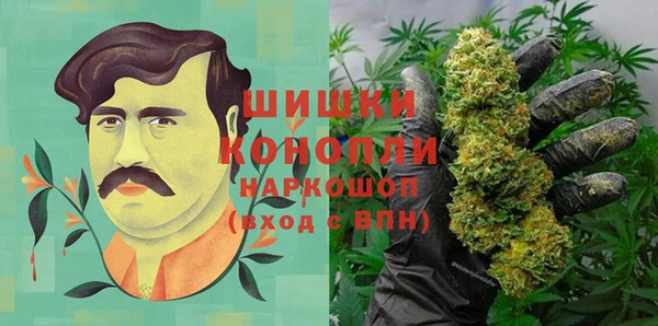 дмт Сясьстрой