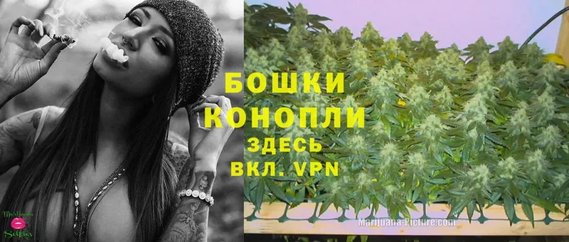 где купить   Вуктыл  Каннабис THC 21% 